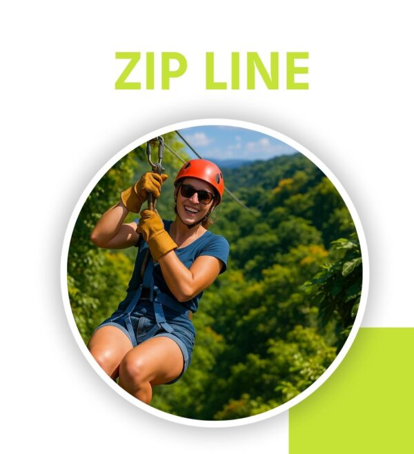 Zip Line