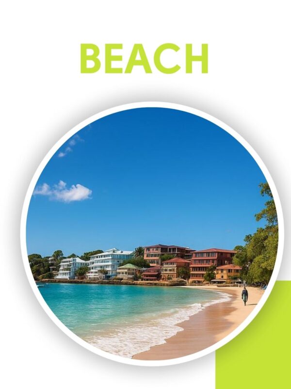 tour playa