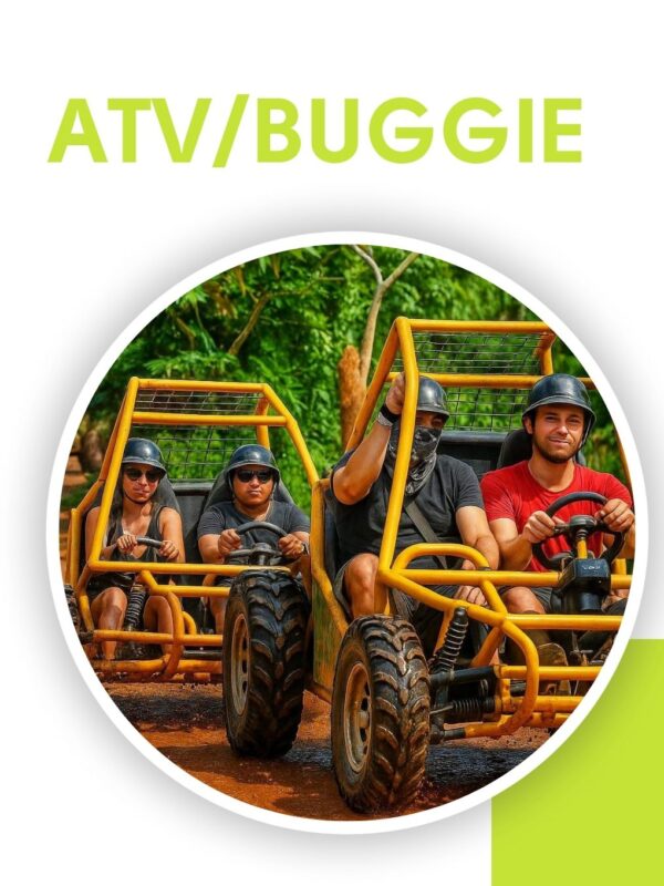 ATV/Buggie